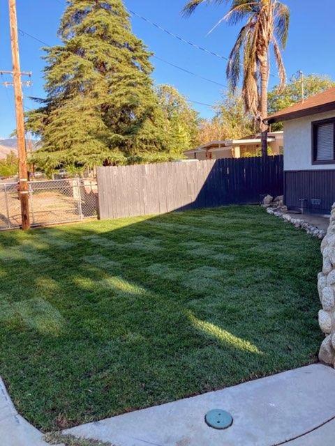 25835 7th St, Hemet, CA 92544 photo 22