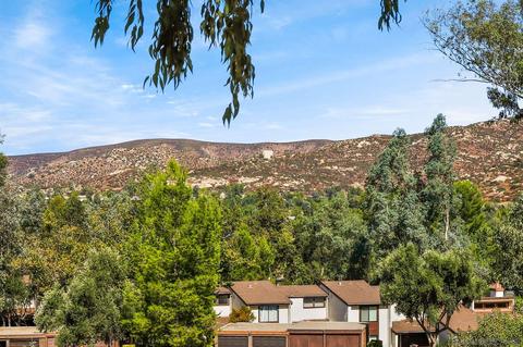 15757 Davis Cup Ln, Ramona, CA 92065 photo 21