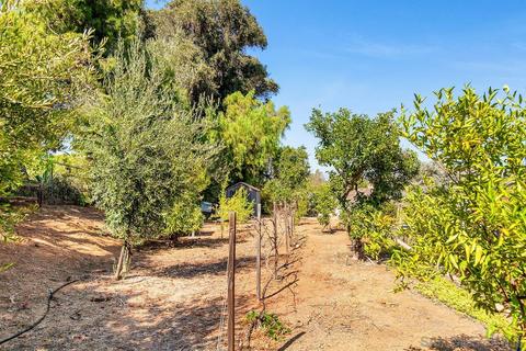 16418 Martincoit Rd, Poway, CA 92064 photo 30