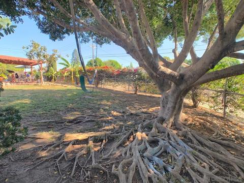 7350 Pacific Ave, Lemon Grove, CA 91945 photo 16