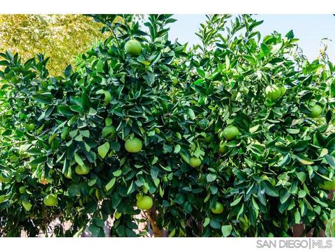 13743 Fairgate Dr, Poway, CA 92064 photo 32