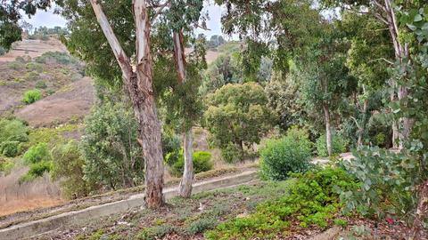 3352 Ironwood Pl, Oceanside, CA 92056 photo 2