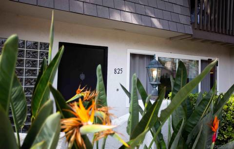 825 Valley Ave, Solana Beach, CA 92075 photo 26