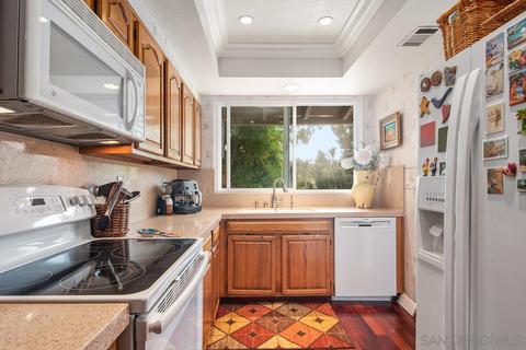 151 Mexicali Ct, Solana Beach, CA 92075 photo 25