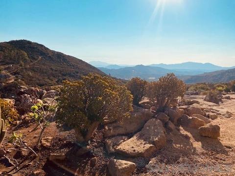 17717 Rockhouse Rd, Ramona, CA 92065 photo 35