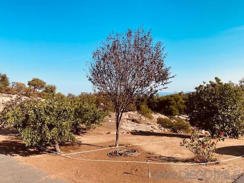 17717 Rockhouse Rd, Ramona, CA 92065 photo 60