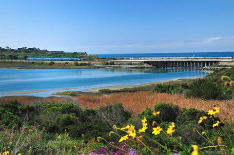 1851 Lotus Ct, Carlsbad, CA 92011 photo 8