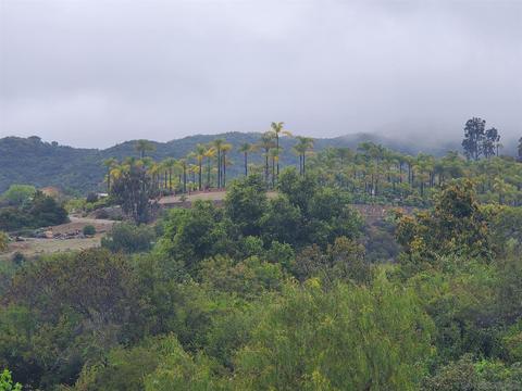 2057 Friendly, Vista, CA 92084 photo 3