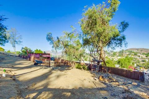 9005 Emerald Grove Ave, Lakeside, CA 92040 photo 20