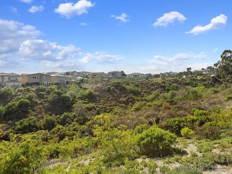 4702 Crespi Ct, Carlsbad, CA 92010 photo 43