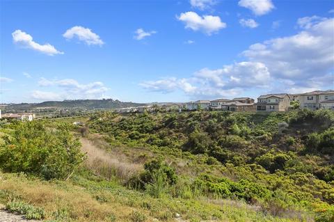 4702 Crespi Ct, Carlsbad, CA 92010 photo 41