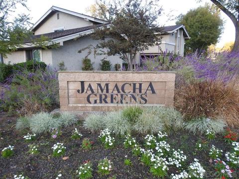 921 Amistad Ct #D, El Cajon, CA 92019 photo 50