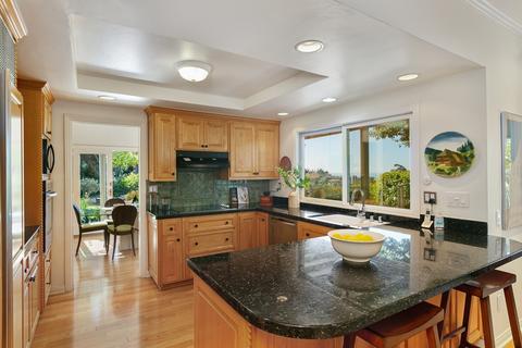7091 Caminito Valverde, La Jolla, CA 92037 photo 12