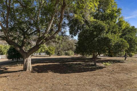 12160 Highway 67, Lakeside, CA 92040 photo 59