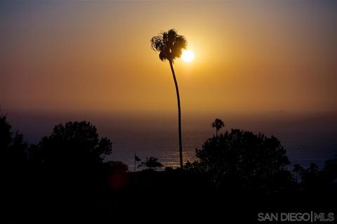 7667 Hillside Dr, La Jolla, CA 92037 photo 10