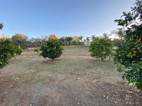 1992 Sixes Ct, Ramona, CA 92065 photo 59