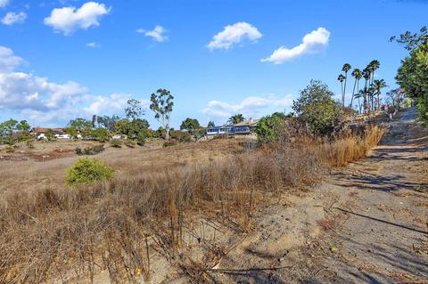 1604 Macadamia Dr, Fallbrook, CA 92028 photo 25