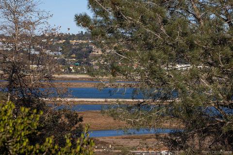1260 Oribia Rd, Del Mar, CA 92014 photo 10