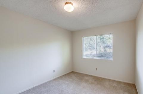 15719 Lyons Valley Rd, Jamul, CA 91935 photo 22