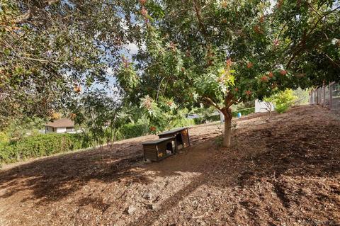 1505 Linda St, Fallbrook, CA 92028 photo 55