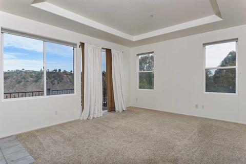 2828 Carriagedale Row, La Jolla, CA 92037 photo 10