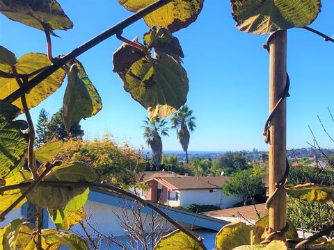 3166 Buena Hills Dr, Oceanside, CA 92056 photo 20