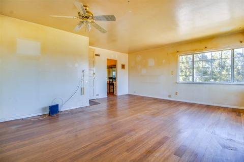 10302 Don Pico Rd, Spring Valley, CA 91978 photo 20