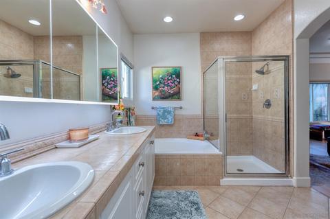 7147 Surfbird Cir, Carlsbad, CA 92011 photo 22