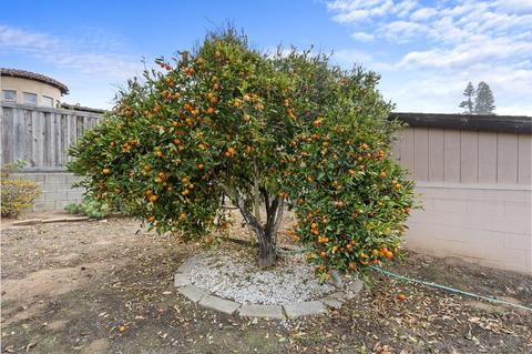654 Glenmont, Solana Beach, CA 92075 photo 35