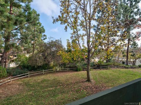 159 Countrywood Ln, Encinitas, CA 92024 photo 32