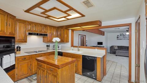 24931 Satusuma Ct, Ramona, CA 92065 photo 11