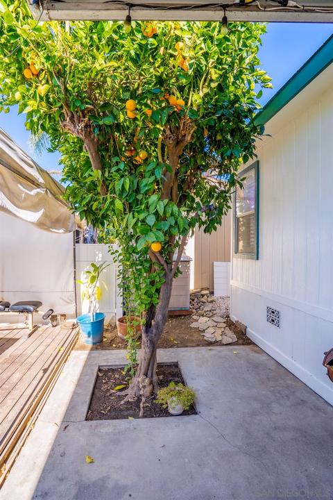 9395 Harritt Rd #SPC 25, Lakeside, CA 92040 photo 37