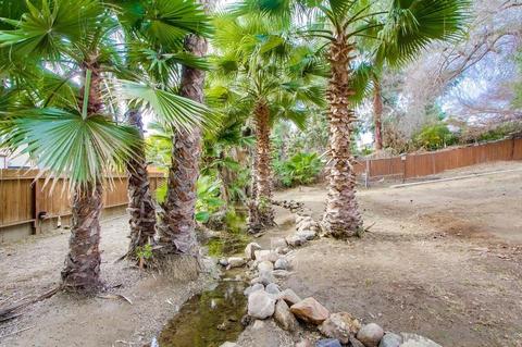 10637 Louisa Dr, La Mesa, CA 91941 photo 25