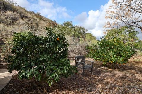 11836 Rocoso Rd, Lakeside, CA 92040 photo 53