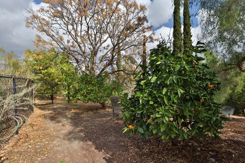 11836 Rocoso Rd, Lakeside, CA 92040 photo 52