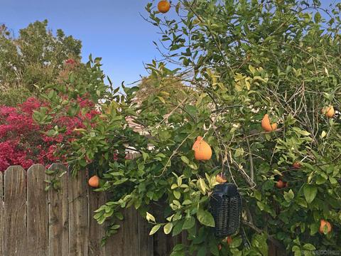 1070 Panno St, Brawley, CA 92227 photo 2