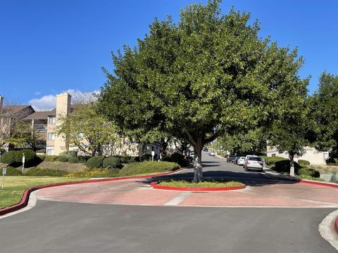3003 Golden Oak Way, Spring Valley, CA 91978 photo 46