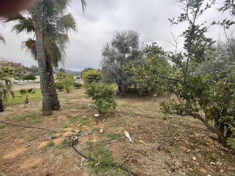 1193 Tres Lomas, El Cajon, CA 92021 photo 5