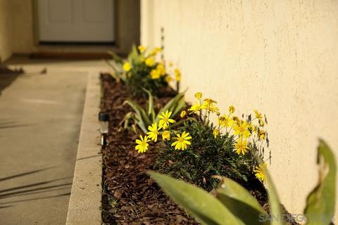 13126 Pam Ln, Lakeside, CA 92040 photo 4
