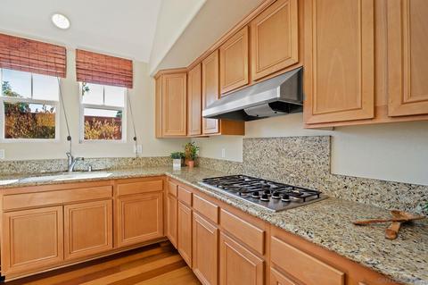 1173 Kava Ct, Encinitas, CA 92024 photo 19