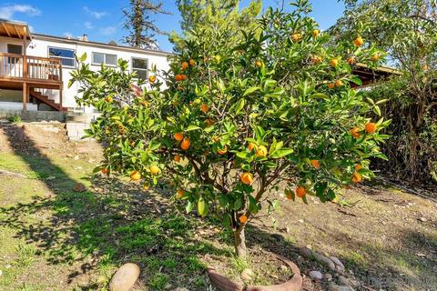 4214 Blackton Dr, La Mesa, CA 91941 photo 30