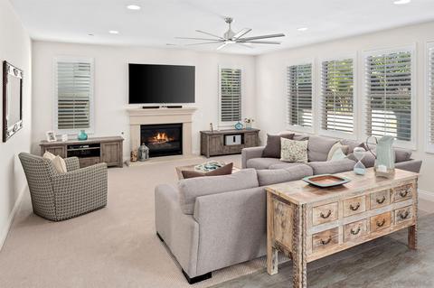 700 Blossom Rd, Encinitas, CA 92024 photo 21