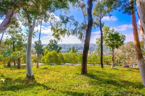 7312 Alta Vis, Carlsbad, CA 92009 photo 49