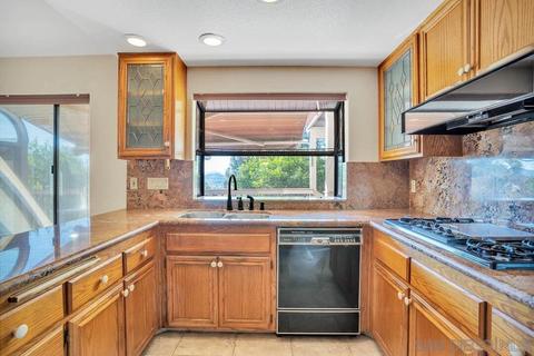 1107 Avocado Summit Dr, El Cajon, CA 92019 photo 9