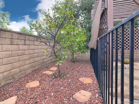 2489 Larkspur, Alpine, CA 91901 photo 27