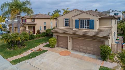 6716 Tea Tree St, Carlsbad, CA 92011 photo 34