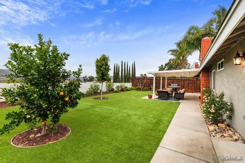 10368 Settle Rd, Santee, CA 92071 photo 33