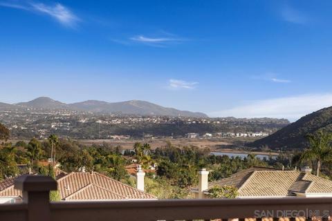 7322 Grebe Dr, Carlsbad, CA 92011 photo 60