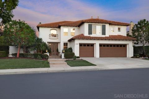 7322 Grebe Dr, Carlsbad, CA 92011 photo 55