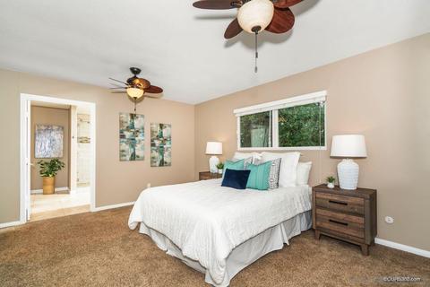 3118 Raven Hill Rd, Jamul, CA 91935 photo 19